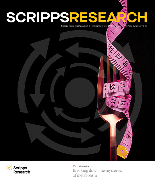Click chemistry - Scripps Research Magazine