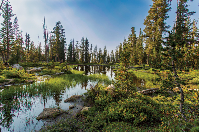 Tranquility. John Muir Trail, Yosemite National Park, Calif. (2017). Credit: M. Reza Ghadiri