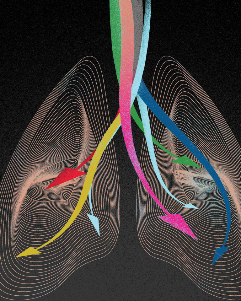 lungs