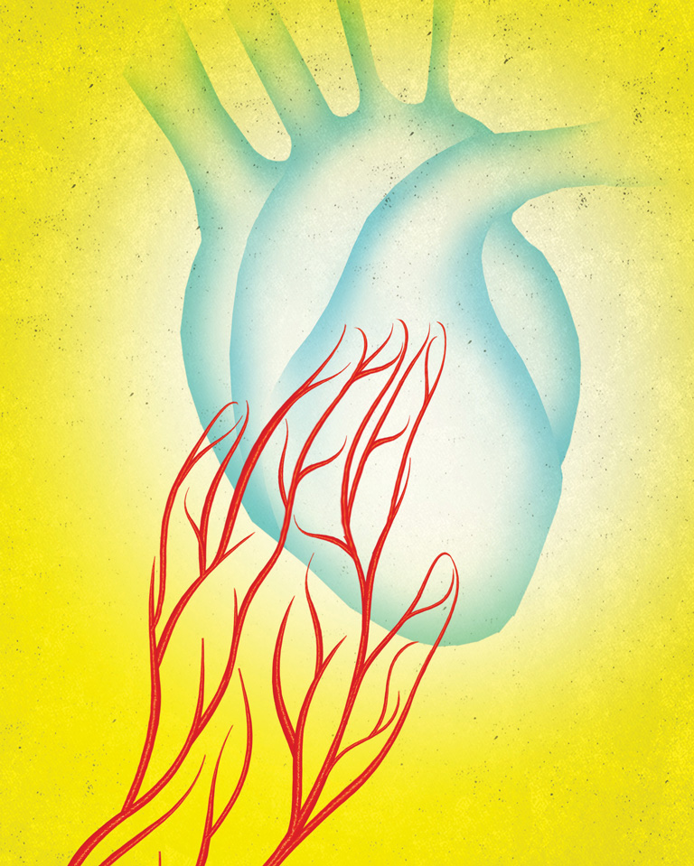 heart